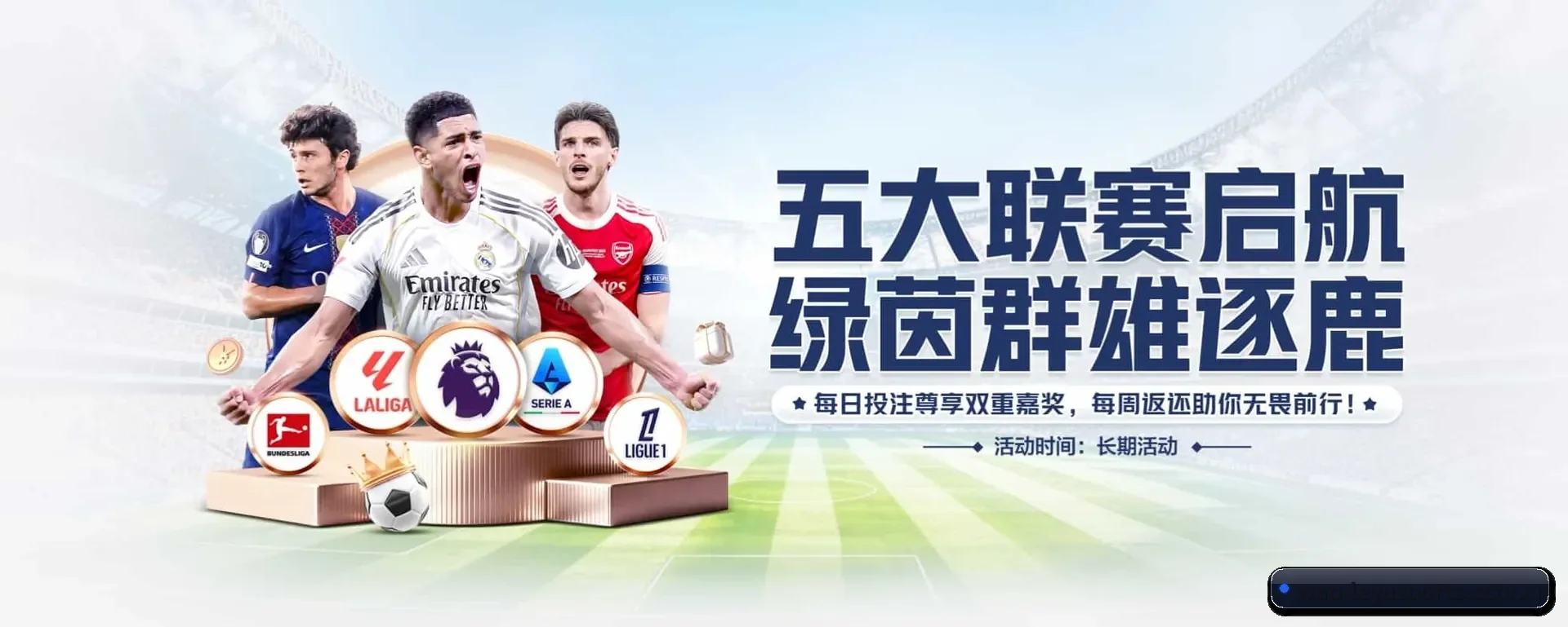 乐鱼的来历 - LEYU SPORTS